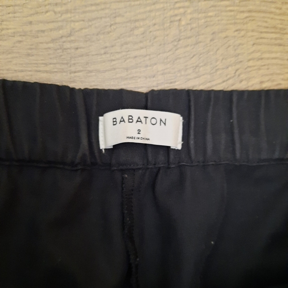 Aritzia Babaton Titan utility pants - Picture 8 of 14